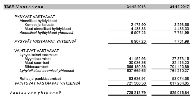 Tilinpaatos 2018 FI TASE Vastaavaa rajattu