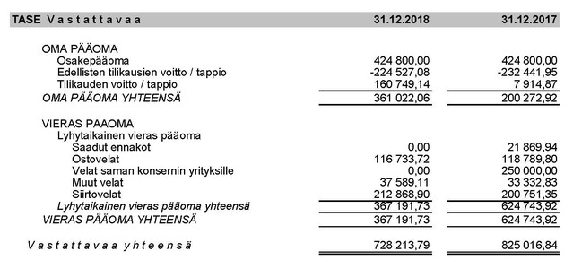 Tilinpaatos 2018 FI TASE Vastattavaa rajattu